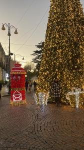Sky and Green Luxury Apartament