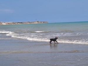 Casa con vista al mar y piscina en Manta