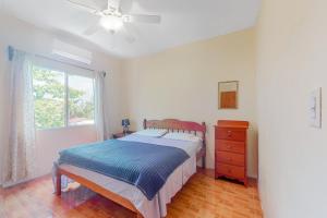 Scarlet Macaw at De Real Macaw