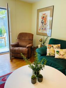 Spacious, cozy apartment with garden