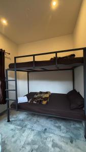 MistAura Vagamon Tea Garden Cottage