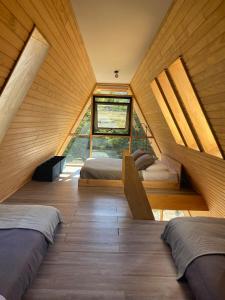 Incredible Cerro Castillo Shelter