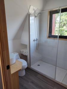 Incredible Cerro Castillo Shelter