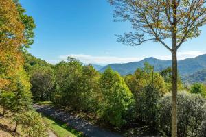 Mountain Views Hot Tub Family Room & Game Room