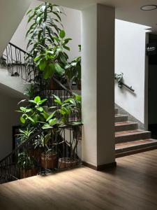 Hotel Plaza El Santuario