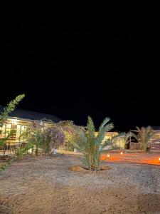 Wadi Rum Sarab Camp