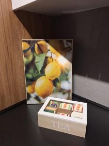 Apartman Kod Kestena