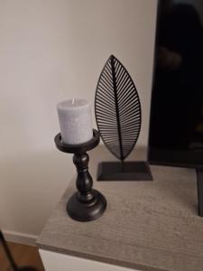 Apartman Kod Kestena