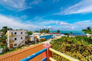 Spixs Macaw at De Real Macaw