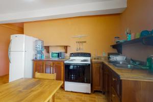 Spixs Macaw at De Real Macaw