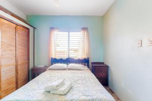 Military Macaw at De Real Macaw