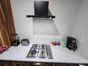 Downtown Durango, Ground Floor, Spacious and Comfortable Apartment