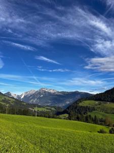 Ferienwohnung Thumerhof