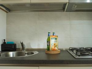 Nexus Noir Apartment Carol