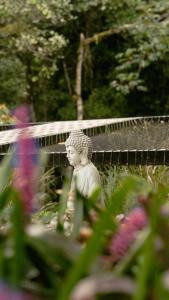 Ananda Glamping Holistico