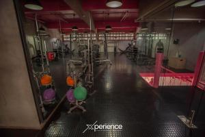 Gold Rabbit at 26, City Views and Wonderland Vibes!