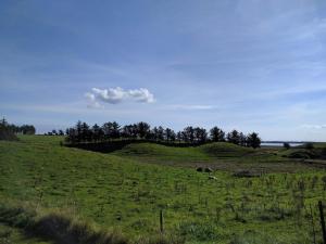 9 person holiday home in Hurup Thy-By Traum