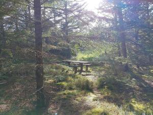 Family-friendly Retreat near Beach - By Traum Ferienwohnungen