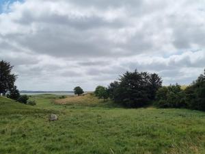 6 person holiday home in Hurup Thy-By Traum