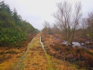 6 person holiday home in Nørre Nebel