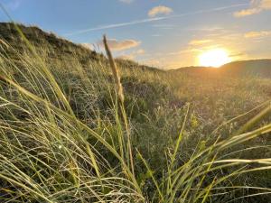 6 person holiday home in Hvide Sande-By Traum