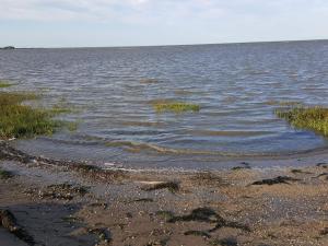 6 person holiday home in Rømø