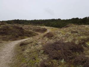 4 person holiday home in Fanø-By Traum