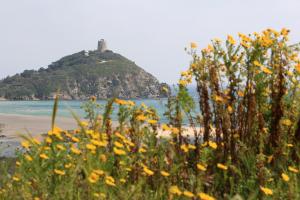 Case Sul Mare Residenze Di Bes img11