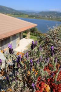 Case Sul Mare Residenze Di Bes img18