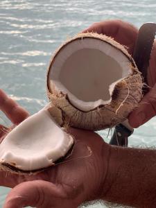 Ponci’s Gate to Gaia Holistic Center