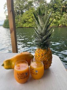 Ponci’s Gate to Gaia Holistic Center