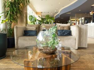 ibis Styles Curitiba Aeroporto