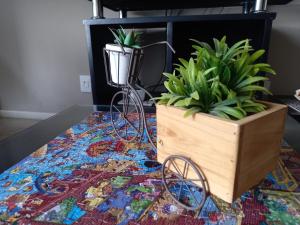 Amplio con AC, gym, pool, ubicado