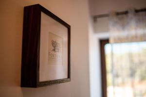 Family friendly house with a swimming pool Basina, Hvar - 23475