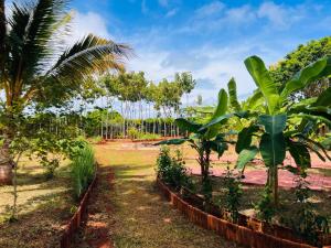 Aachchi Country Home by ABC Leisures group