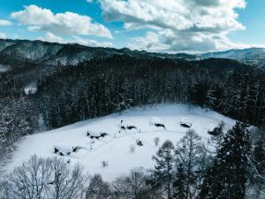 白馬 Earthboat Hakuba 宿泊施設 客室