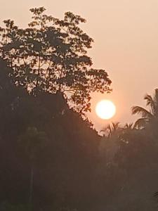 Suwetha villa Ayurveda Resort