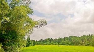 Suwetha villa Ayurveda Resort