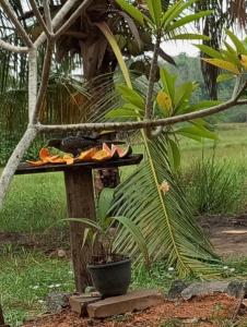 Suwetha villa Ayurveda Resort