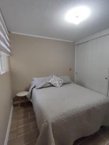 Departamento valle volcanes, Puerto Montt