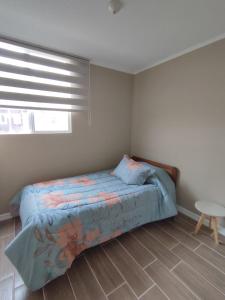 Departamento valle volcanes, Puerto Montt