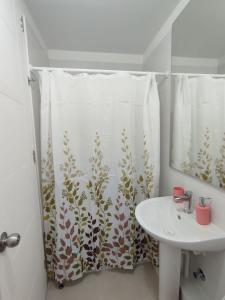 Departamento valle volcanes, Puerto Montt