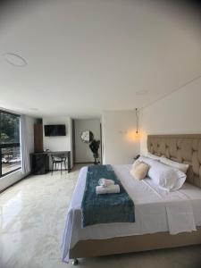 22 Comfort and style in Medellín Laureles