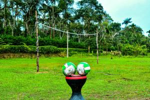 Rainy Cloud Homestay - Estate, Home Food, Near to Falls & Safari