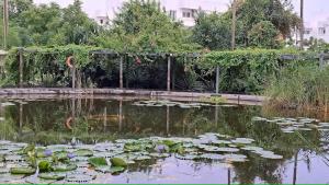 Modern Apartment - Swimming Pool - Airport Pickup