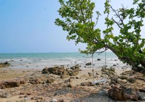 Beach Penthouse - 3 BR, Jacuzzi, Marriott pool access