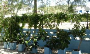 Pension Balos Samos Greece