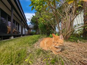 guest house Ki-zu - Vacation STAY 94978v