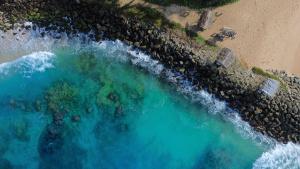 The Youth Hostel - Its a Youth Fame