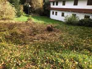 Chaloupka u Jiřího